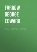 The Missing Prince