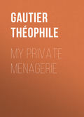 My Private Menagerie