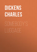 Somebody's Luggage