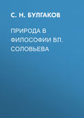 Природа в философии Вл. Соловьева