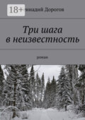 Три шага в неизвестность. Роман