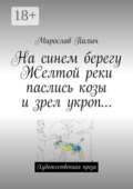 На синем берегу Желтой реки паслись козы и зрел укроп… Художественная проза
