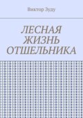 Лесная жизнь отшельника. Книга 5. Второй вариант вознесения