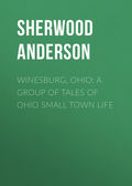 Winesburg, Ohio: A Group of Tales of Ohio Small Town Life