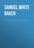 In the Heart of Africa