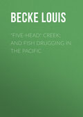 "Five-Head" Creek; and Fish Drugging In The Pacific