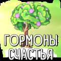 Саммари на книгу «Гормоны счастья. Приучите свой мозг вырабатывать серотонин, дофамин, эндорфин и окситоцин». Лоретта Грациано Бройнинг