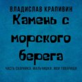 Камень с морского берега