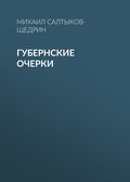 Губернские очерки