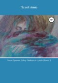 Земли Дракона. Отбор: выбор или судьба. Книга 1