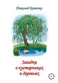 Загадки о кустарниках и деревьях