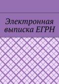 Электронная выписка ЕГРН