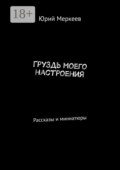 ГруЗдь моего настроения. Рассказы и миниатюры
