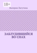 Заблудившийся во снах