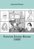 Осколок Камня Жизни 34001
