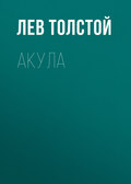 Акула