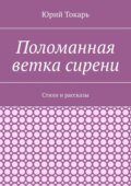 Поломанная ветка сирени. Стихи и рассказы
