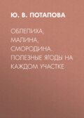 Облепиха, малина, смородина. Полезные ягоды на каждом участке