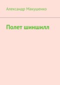 Полет шиншилл