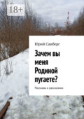 Зачем вы меня Родиной пугаете? Рассказы и рассказики