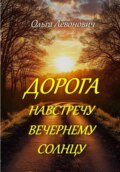 Дорога навстречу вечернему солнцу