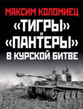 «Тигры» и «Пантеры» в Курской битве