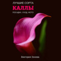 Каллы. Лучшие сорта