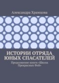 Истории отряда юных спасателей. Продолжение книги «Школа прекрасных фей»