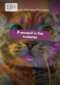 A moment in the universe. Story