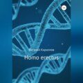 Homo erectus