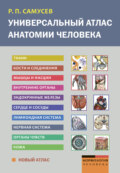 Универсальный атлас анатомии человека