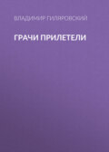 Грачи прилетели