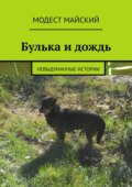 Булька и дождь. Невыдуманные истории