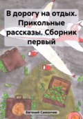 В дорогу на отдых. Прикольные рассказы. Сборник первый
