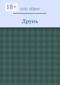 Друнь