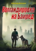 Командировка на Байред (издание второе, исправленное)