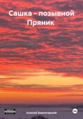 Сашка – позывной Пряник