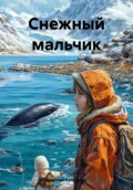 Снежный мальчик