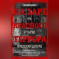 На заре красного террора. ВЧК – Бутырки – Орловский централ