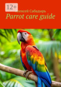 Parrot care guide