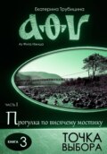 Точка выбора. Серия: Аз Фита Ижица. Часть I: Прогулка по висячему мостику. Книга 3