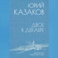 Двое в декабре