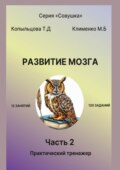 Развитие мозга. 2 часть. Практический тренажер