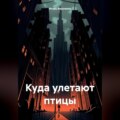 Куда улетают птицы