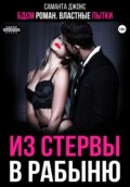 БДСМ роман. Властные пытки. Из стервы в рабыню
