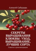 Секреты выращивания клюквы: уход, выращивание, лучшие сорта. Советы и рекомендации