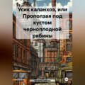 Усик каланхоэ или проползая под кустом черноплодной рябины