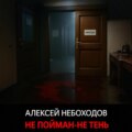 Не пойман – не тень