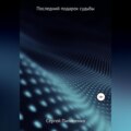 Последний подарок судьбы
