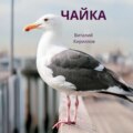 Чайка